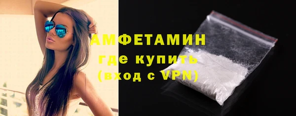 гидра Анжеро-Судженск