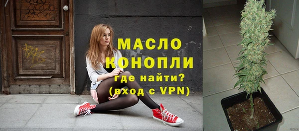 гидра Анжеро-Судженск