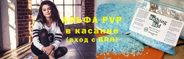 гидра Анжеро-Судженск