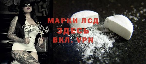 гидра Анжеро-Судженск