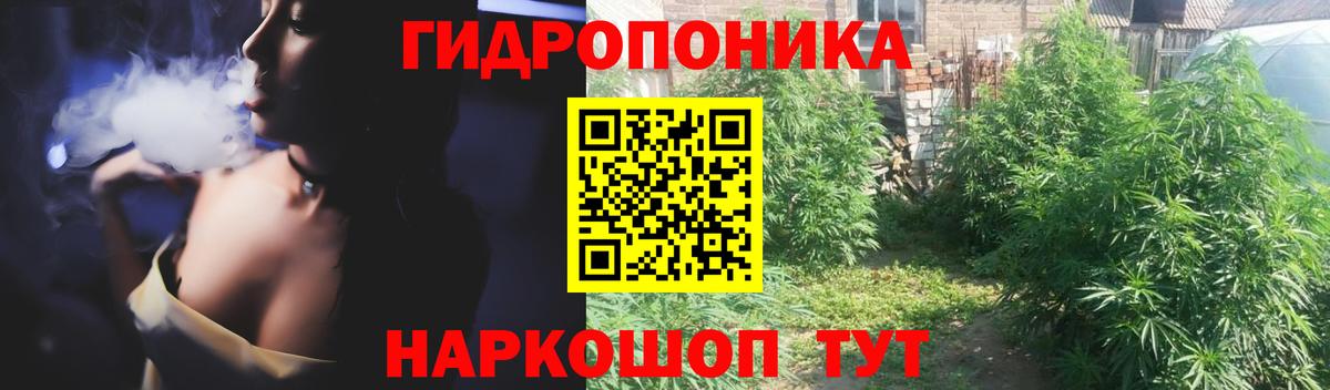 Конопля Ganja Донской